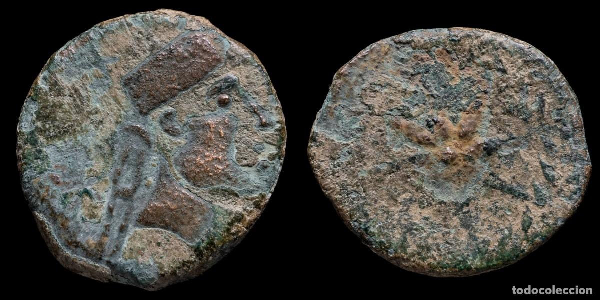 Monedas ib&eacute;ricas: Ancient Hispania - Malaca Ae Semis (Malaga) - 22 mm / 6,51 gr.
