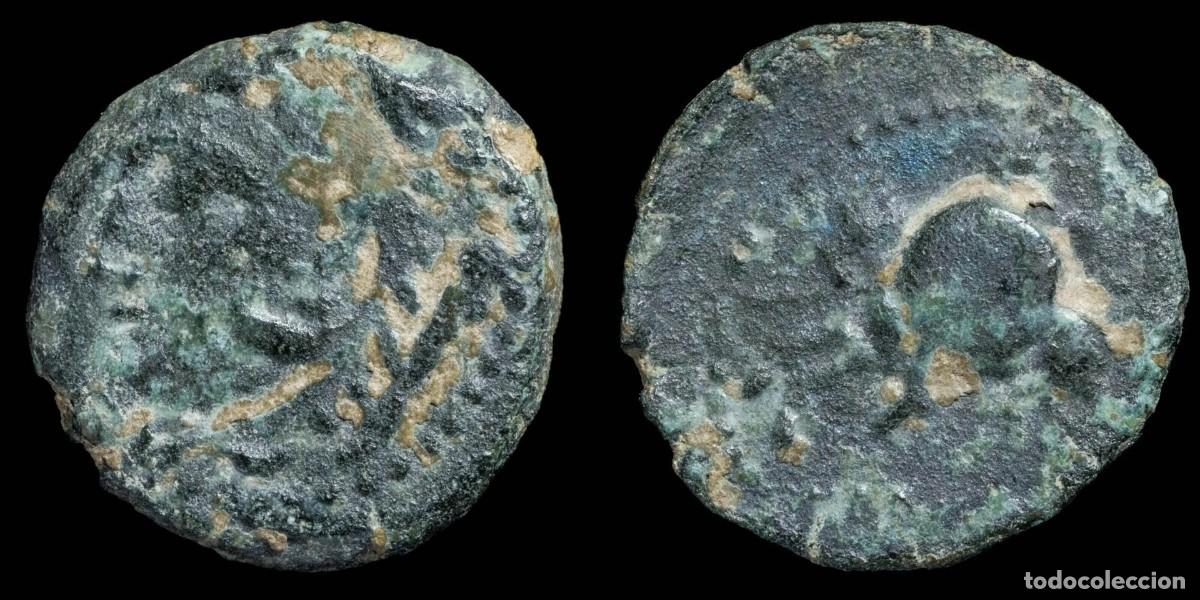 Monedas ib&eacute;ricas: Ancient Hispania - Carisa, Bornos (C&aacute;diz) Ae Semis - 19 mm / 4.29 gr.