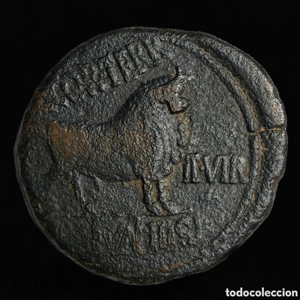 Monedas ib&eacute;ricas: As Celsa 27 a.C.-14 d.C. Augusto
