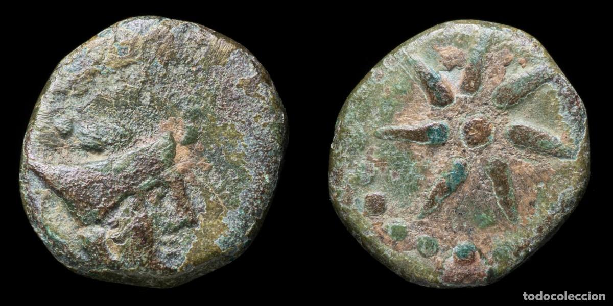 Monedas ib&eacute;ricas: Ancient Hispania - Malaca (Malaga) Ae Quadrans - 13 mm / 2,30gr.