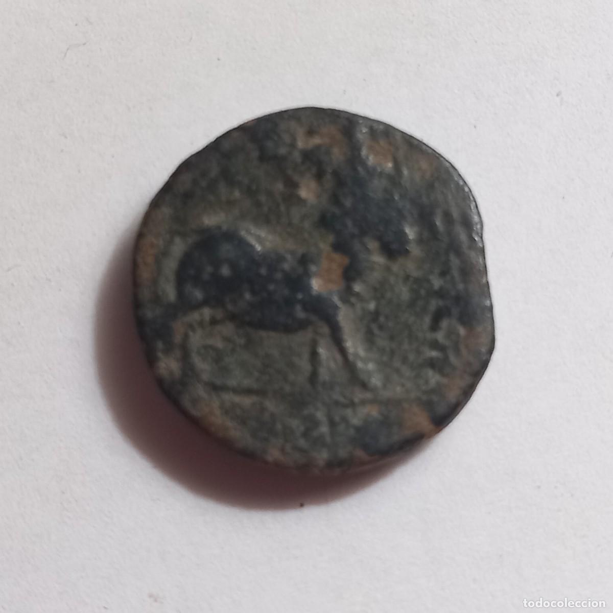 Monedas ib&eacute;ricas: Semis de Castulo(Linares) - Foto 2