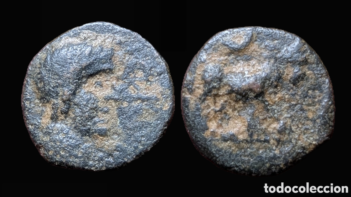 Monedas ib&eacute;ricas: Semis &iacute;bero Castulo 120-80 a.C.