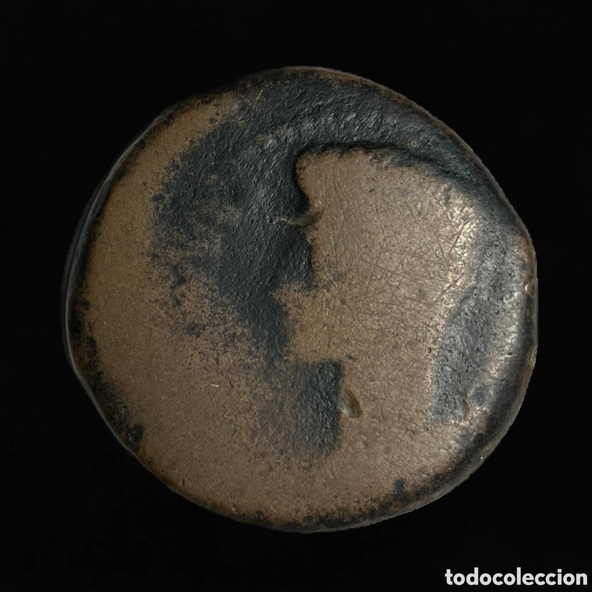 Monedas ib&eacute;ricas: As Iulia Traducta &rdquo;Cayo y Lucio&rdquo;