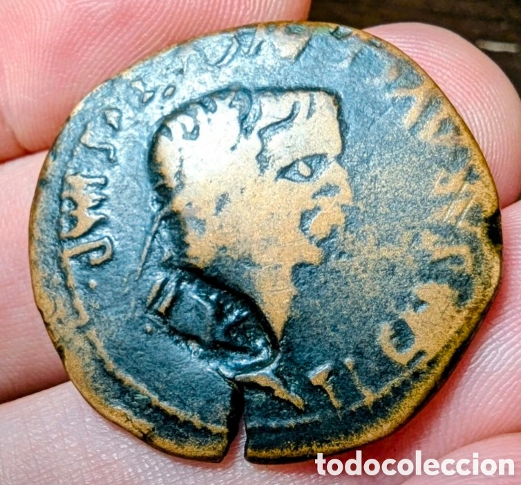 Monedas ib&eacute;ricas: As Clunia 14-37 d.C. Tiberio &rdquo;contramarca jabal&iacute;-&aacute;guila&rdquo;