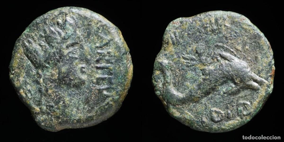 Monedas ib&eacute;ricas: Ancient Hispania - Carteia, San Roque (C&aacute;diz) Semis - 18 mm / 3.50 gr.