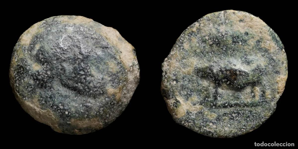 Monedas ib&eacute;ricas: Ancient Hispania - Uncertain Quadrans, (Jabal&iacute; Clava) - 20 mm / 7.26 gr.