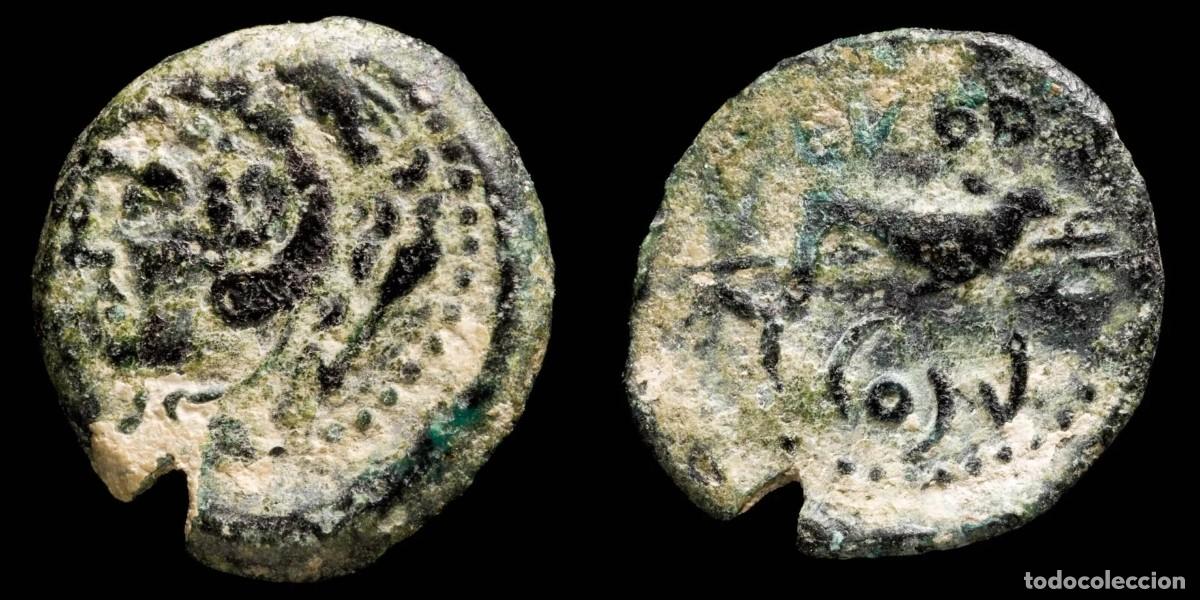 Monedas ib&eacute;ricas: Ancient Hispania - Gades (Cadiz), Ae Quadrans - 18 mm / 2.27 gr.