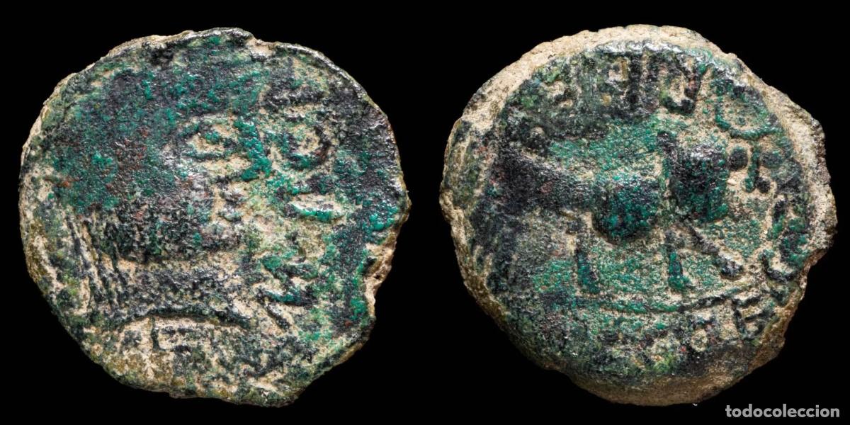 Monedas ib&eacute;ricas: Ancient Hispania - Castulo, Cazlona (Jaen), Ae Semis - 23 mm / 5.37 gr.