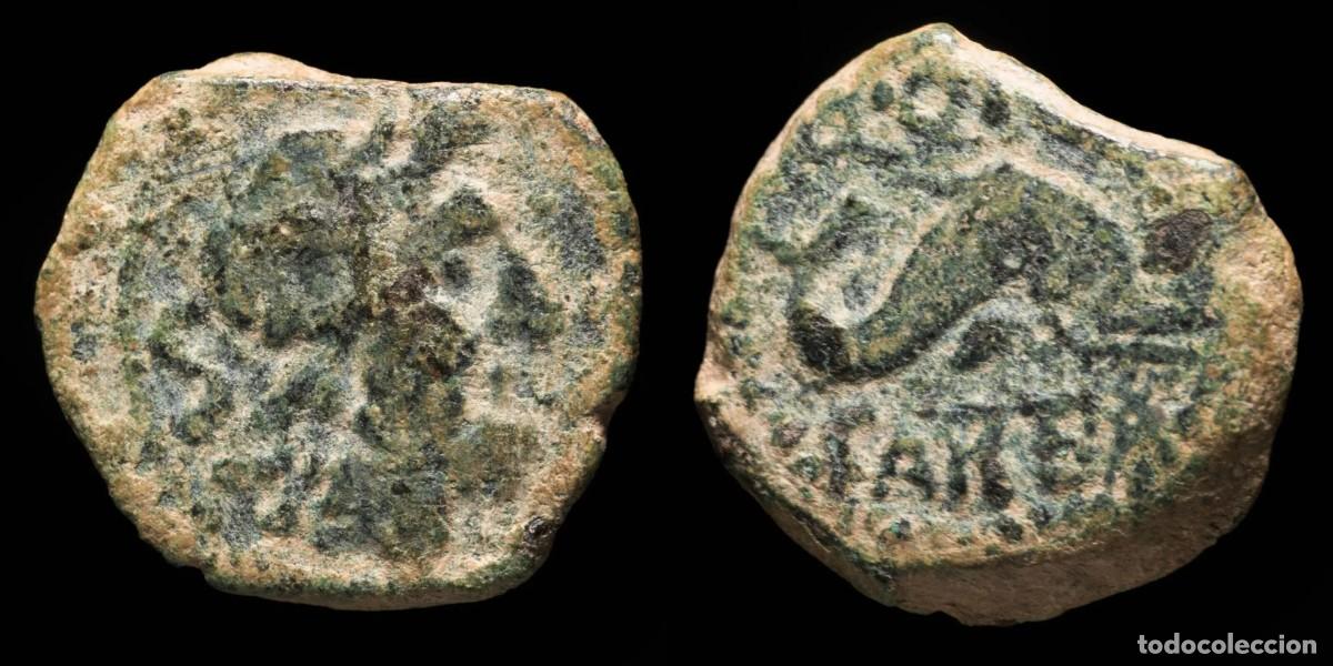 Monedas ib&eacute;ricas: Ancient Hispania - Carteia Semis, San Roque (C&aacute;diz) - 22 mm / 8.29 gr.