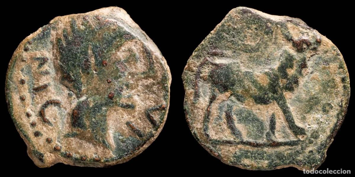 Monedas ib&eacute;ricas: Ancient Hispania - Obulco, Porcuna (Ja&eacute;n) AE Semis - 20 mm / 4.12 gr.