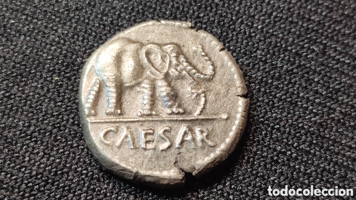 Monedas ib&eacute;ricas: Denario Julio cesar tipo elefante