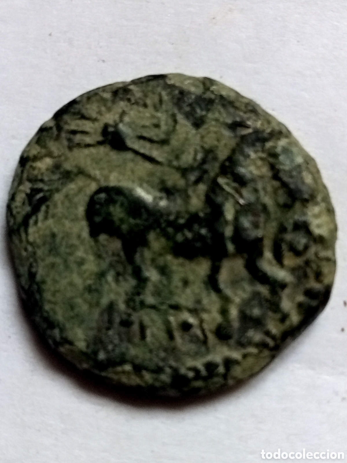 Monedas ib&eacute;ricas: SISAPO - CIUDAD REAL- A&Ntilde;O 50 B.C. - SEMIS