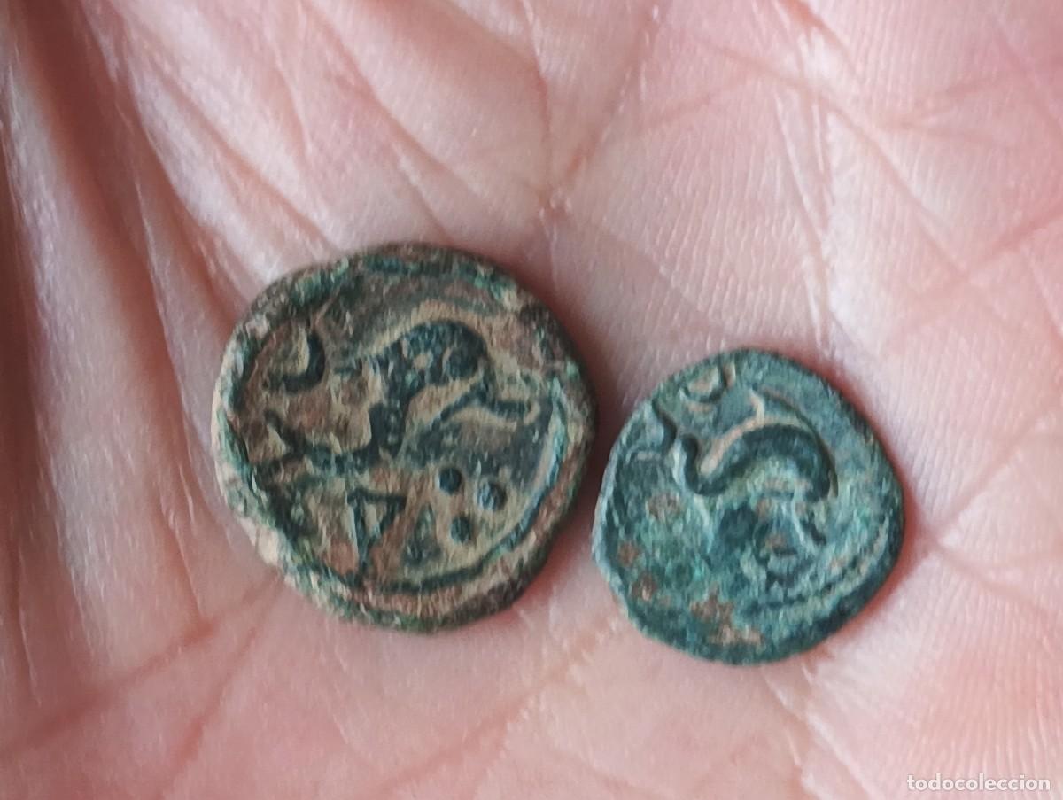 Monedas ib&eacute;ricas: Lote de cuadrante y sextantes Arse Sagunto