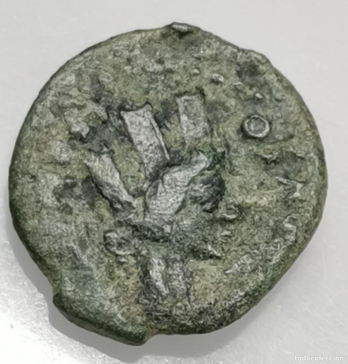 Monedas ib&eacute;ricas: CARTEIA - Semis - Germ&aacute;nico y Druso - &Eacute;poca de Tiberio (14-36 d.C.)