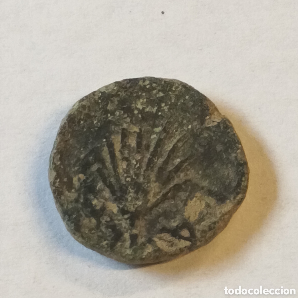 Moedas ib&eacute;ricas: SEXTANTE DE BRONCE ARSE-SAGUNTUM s. II a.C.