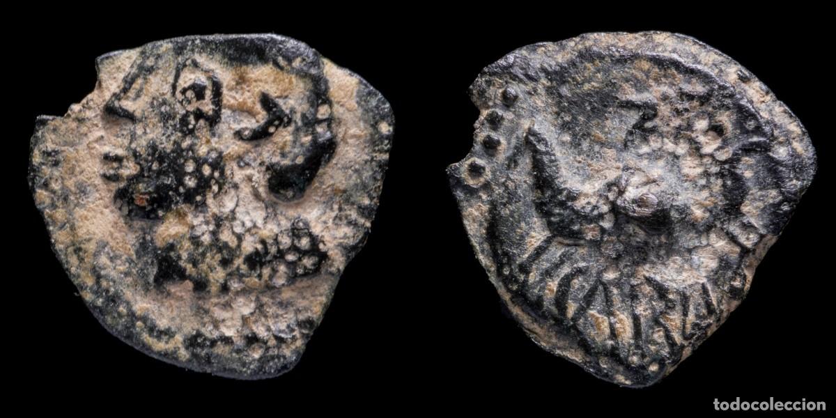 Monedas ib&eacute;ricas: Ancient Hispania - Carisa, Bornos (C&aacute;diz) Ae Semis - 17 mm / 2,28 gr.
