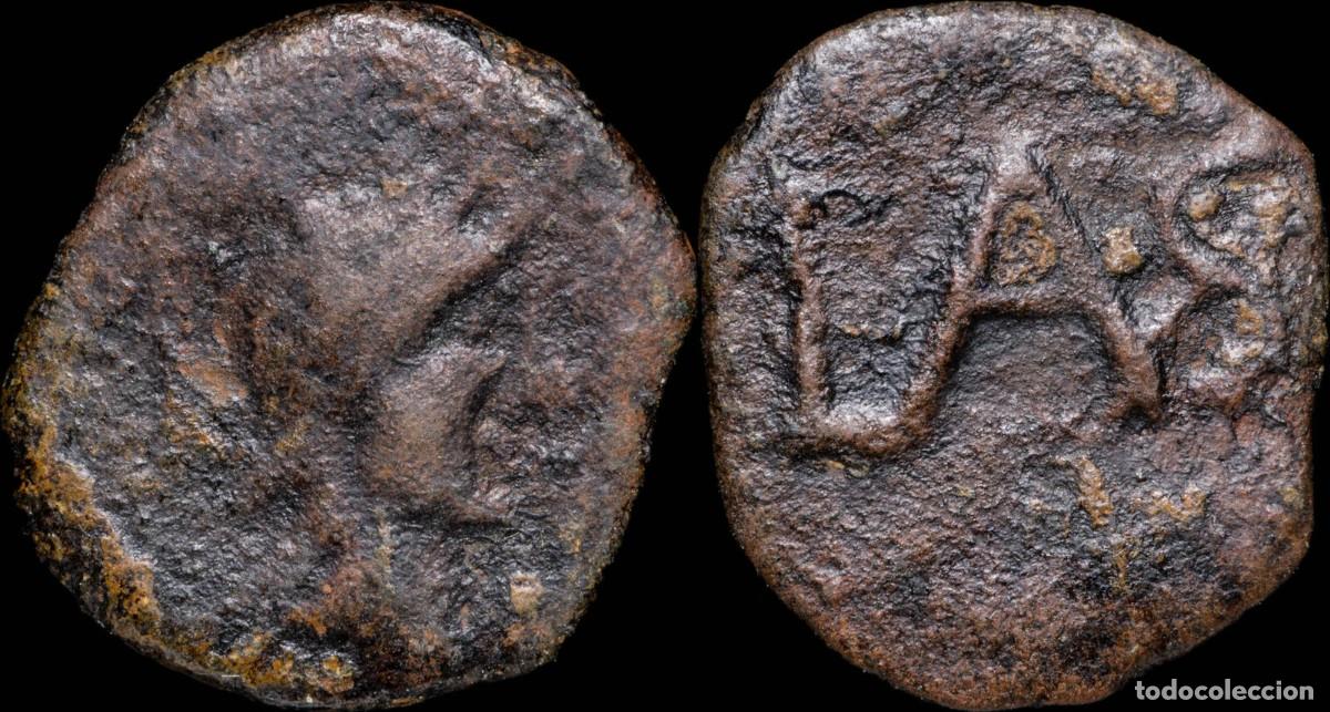 Monedas ib&eacute;ricas: Ancient Hispania - Lastigi, Sevilla, Ae Quadrans - 17 mm / 1.88 gr.