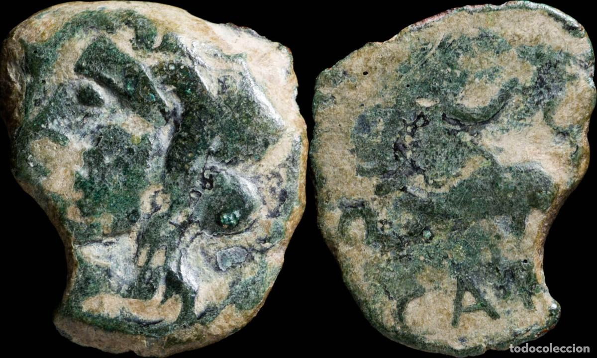Monedas ib&eacute;ricas: Ancient Hispania - Carteia, San Roque (Cadiz) Ae Semis - 26 mm / 7.09 gr.