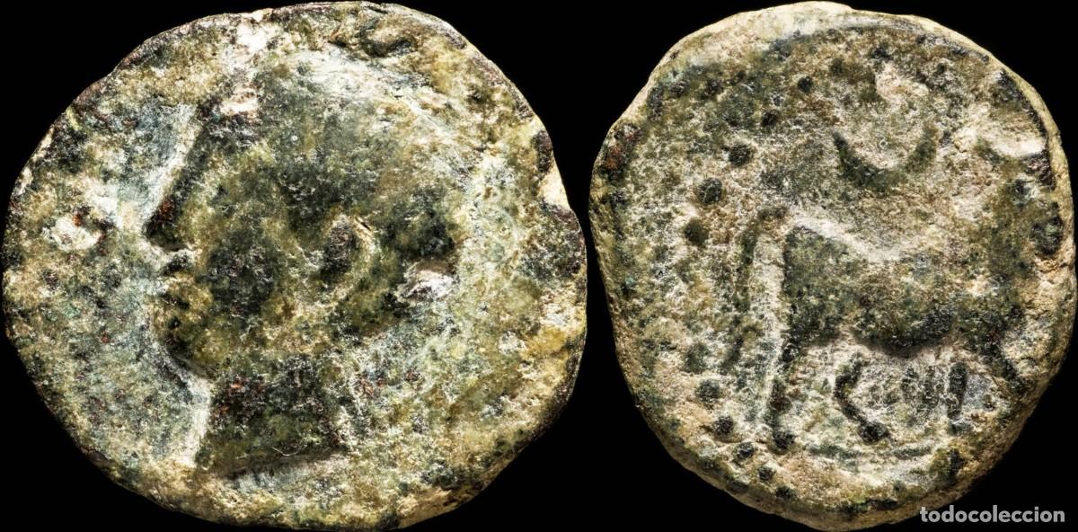 Monedas ib&eacute;ricas: Ancient Hispania - Castulo, Cazlona (Jaen), Ae Quadrans - 20 mm / 5.12 gr.