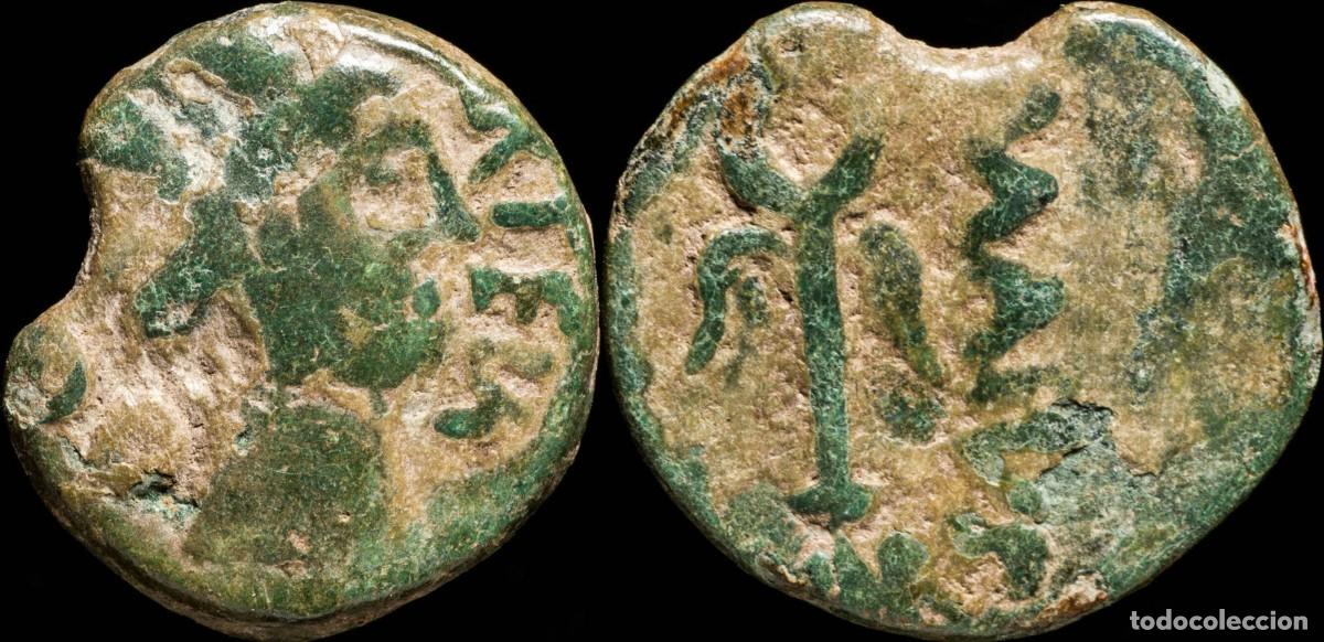 Monedas ib&eacute;ricas: Ancient Hispania - Carteia, San Roque (Cadiz) AE Semis - 25 mm / 9.36 gr.