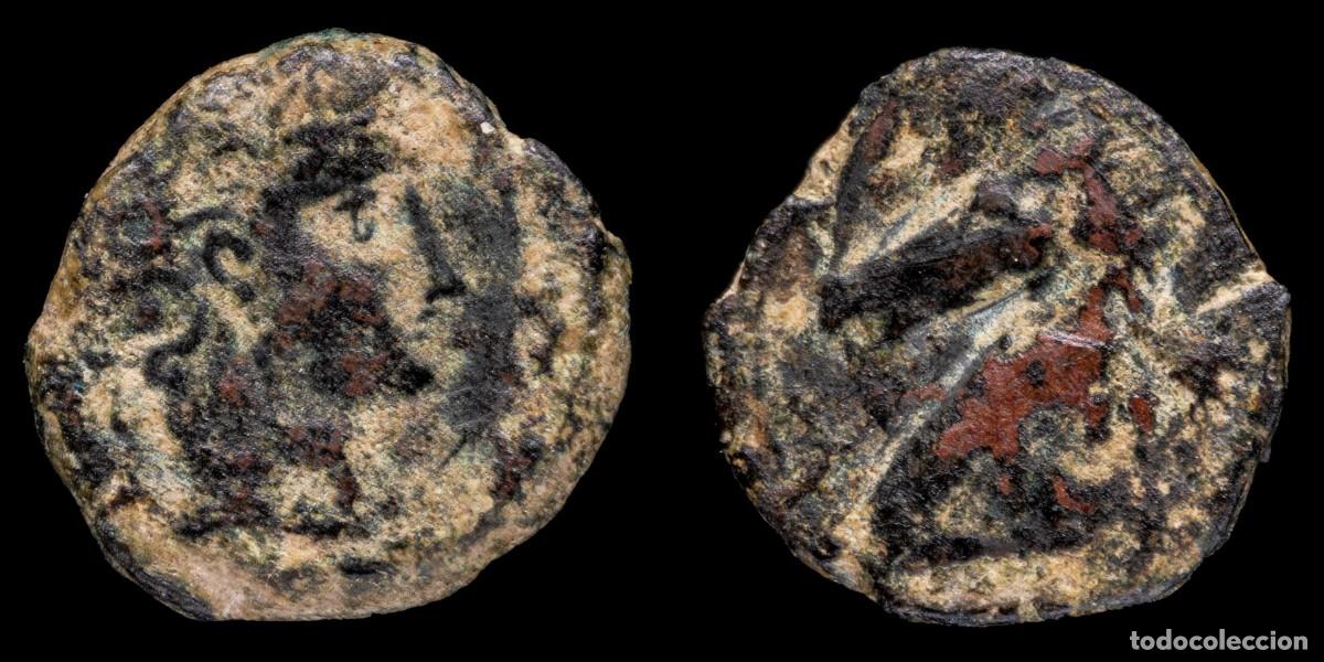 Monedas ib&eacute;ricas: Ancient Hispania - 1/5 Calco Cartagines, Carthago Nova - 15 mm / 2,01 gr.