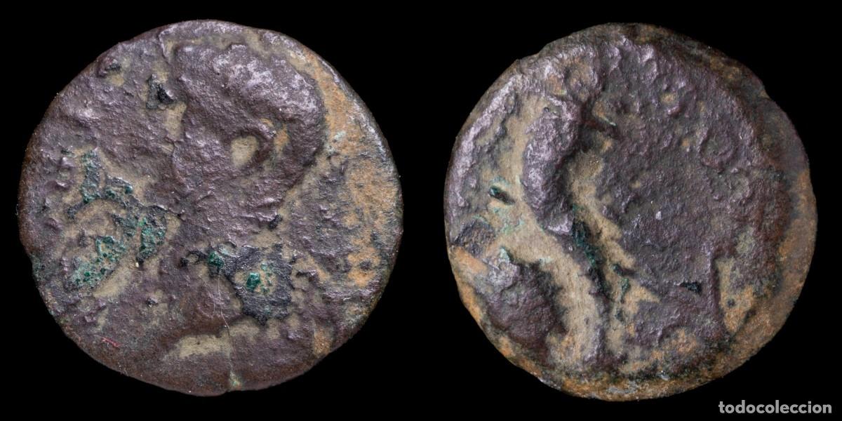 Monedas ib&eacute;ricas: Ancient Hispania - Tiberius Quadrans, Colonia Romula (Sevilla) - 18 mm / 2,88 gr.