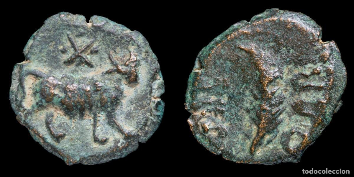Monedas ib&eacute;ricas: Ancient Hispania - Segobriga Quadrans, Saelices (Cuenca) - 15 mm / 2,17 gr.