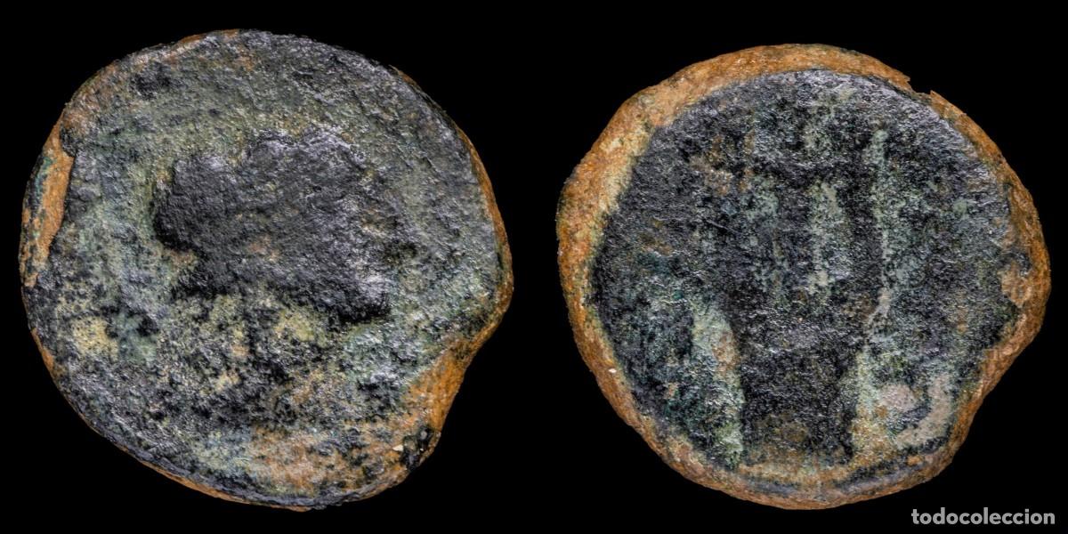Monedas ib&eacute;ricas: Ancient Hispania - Obulco Semis, Porcuna (Jaen) - 20 mm / 5,97 gr.