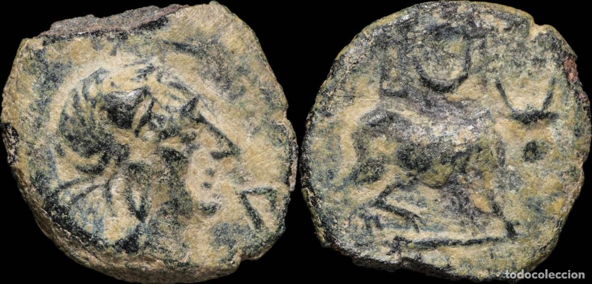 Monedas ib&eacute;ricas: Ancient Hispania - Castulo, Cazlona (Jaen), Ae Quadrans, 19 mm / 4.02 gr.