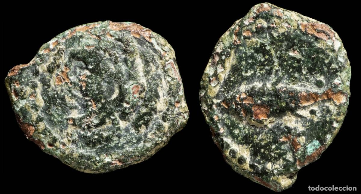 Monedas ib&eacute;ricas: Ancient Hispania - Gades Quadrans (Cadiz) - 14 mm / 1.52 gr.