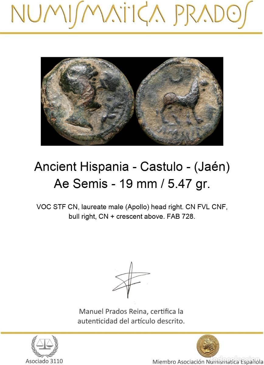 Monedas ib&eacute;ricas: Ancient Hispania - Castulo - (Ja&eacute;n) Ae Semis - 19 mm / 5.47 gr. - Foto 2