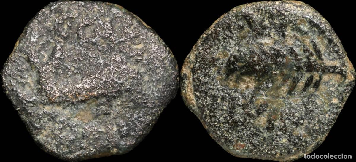 Monedas ib&eacute;ricas: Ancient Hispania - Cartagonova, Cartagena (Murcia), Ae Semis - 19 mm / 5.25 gr.
