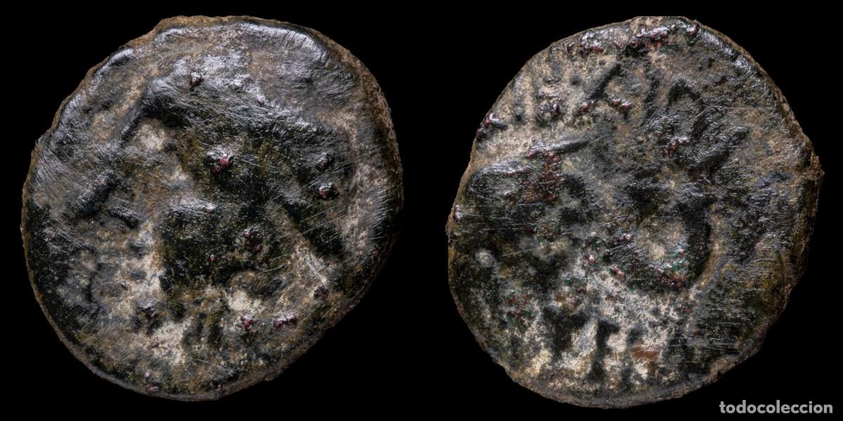 Monedas ib&eacute;ricas: Ancient Hispania - Carteia, San Roque (Cadiz) Ae Semis - 22 mm / 5.87 gr.