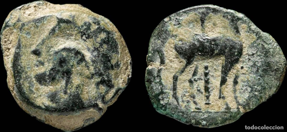 Monedas ib&eacute;ricas: Ancient Hispania - 1/2 Calco Cartagines, Cartagena (Murcia) - 17 mm / 2.73 gr