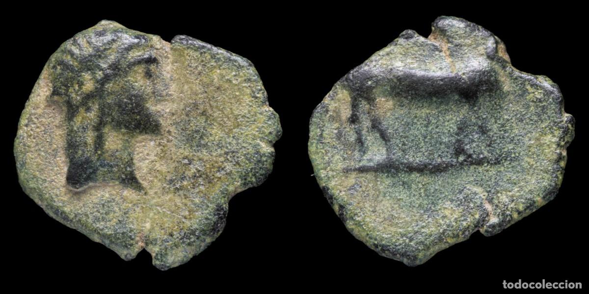 Monedas ib&eacute;ricas: Ancient Hispania - Quadrans Obulco, Porcuna (Ja&eacute;n)- 15 mm / 1,53 gr.
