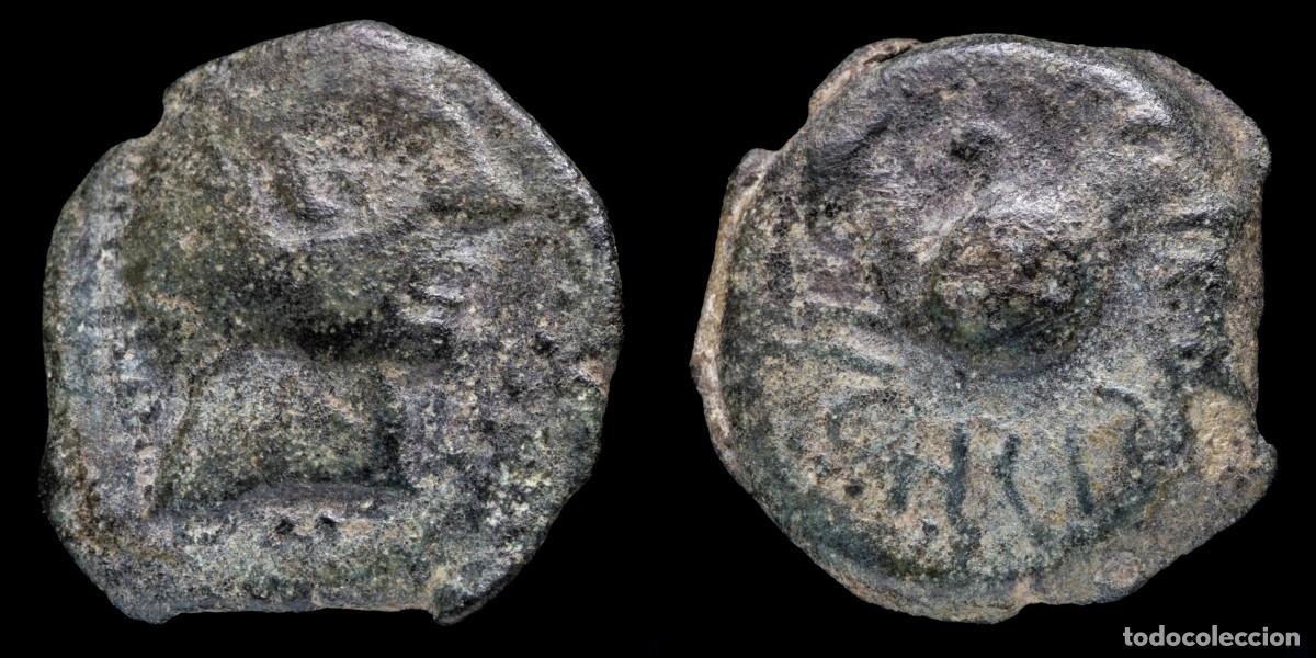 Monedas ib&eacute;ricas: Ancient Hispania - Carisa, Bornos (C&aacute;diz) Ae Semis - 20 mm / 4.71 gr.