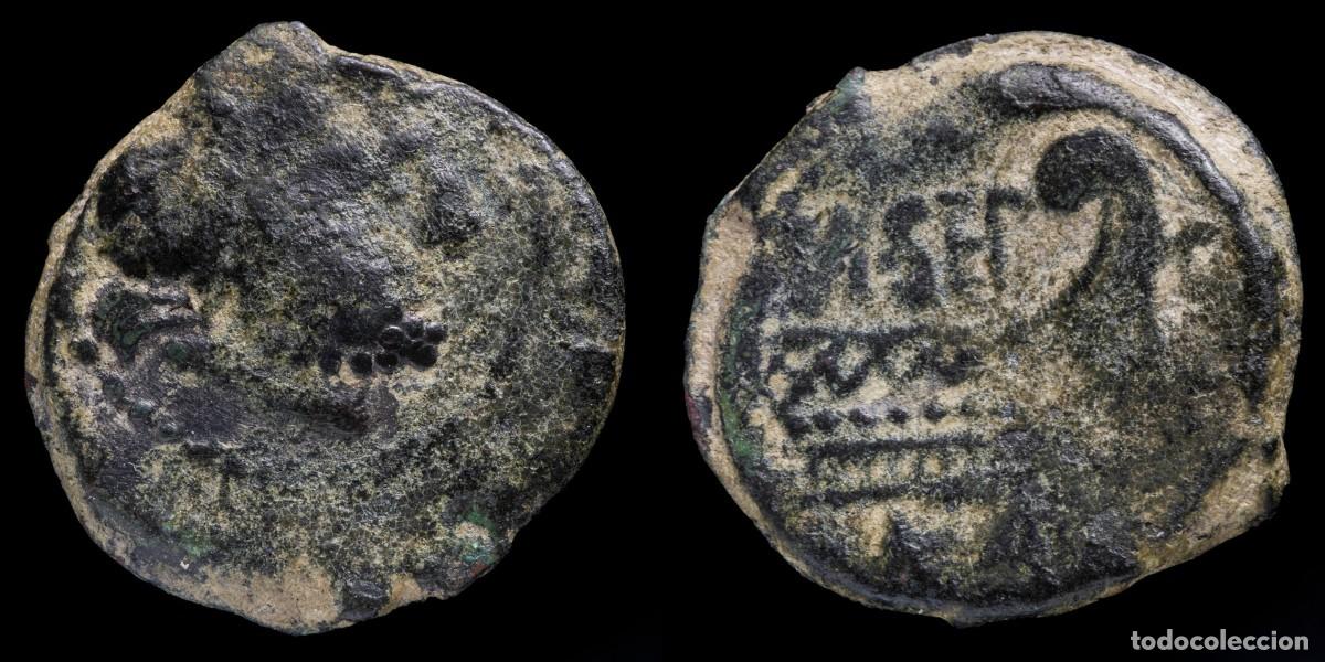 Monedas ib&eacute;ricas: Ancient Hispania - Semis Carteia, San Roque (Cadiz) - 24 mm / 7,64 gr.