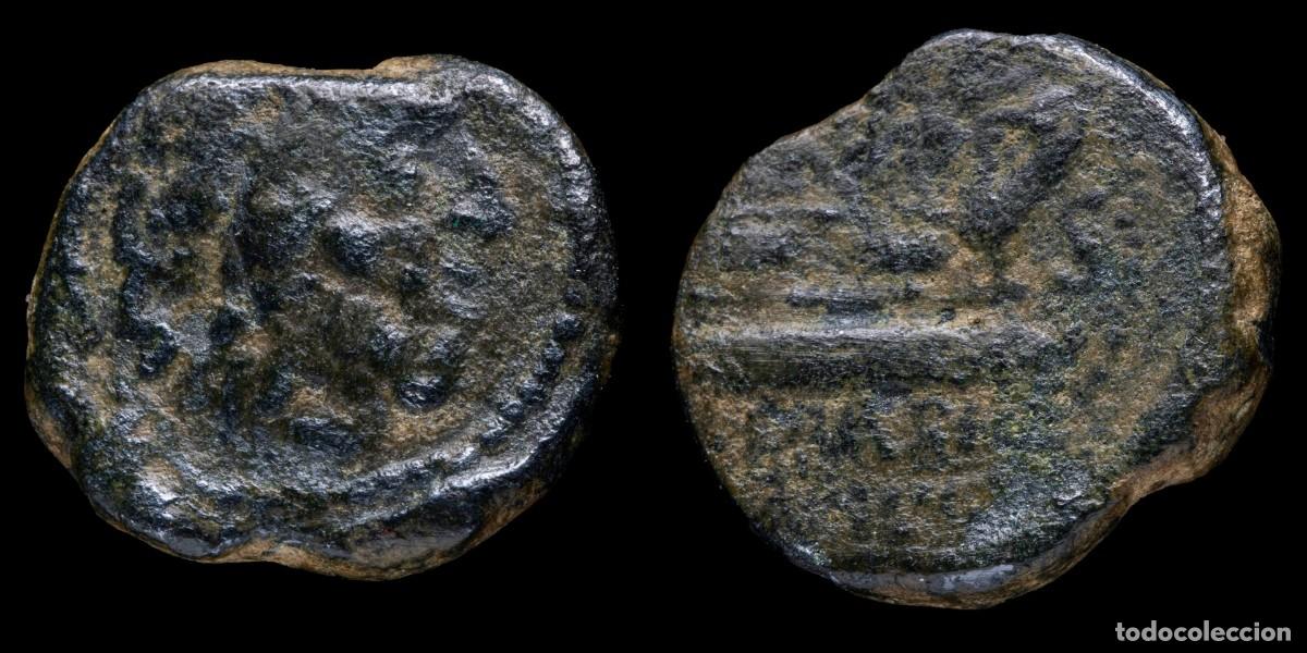 Monedas ib&eacute;ricas: Ancient Hispania - Semis Carteia, San Roque (Cadiz) - 23 mm / 10,33 gr.