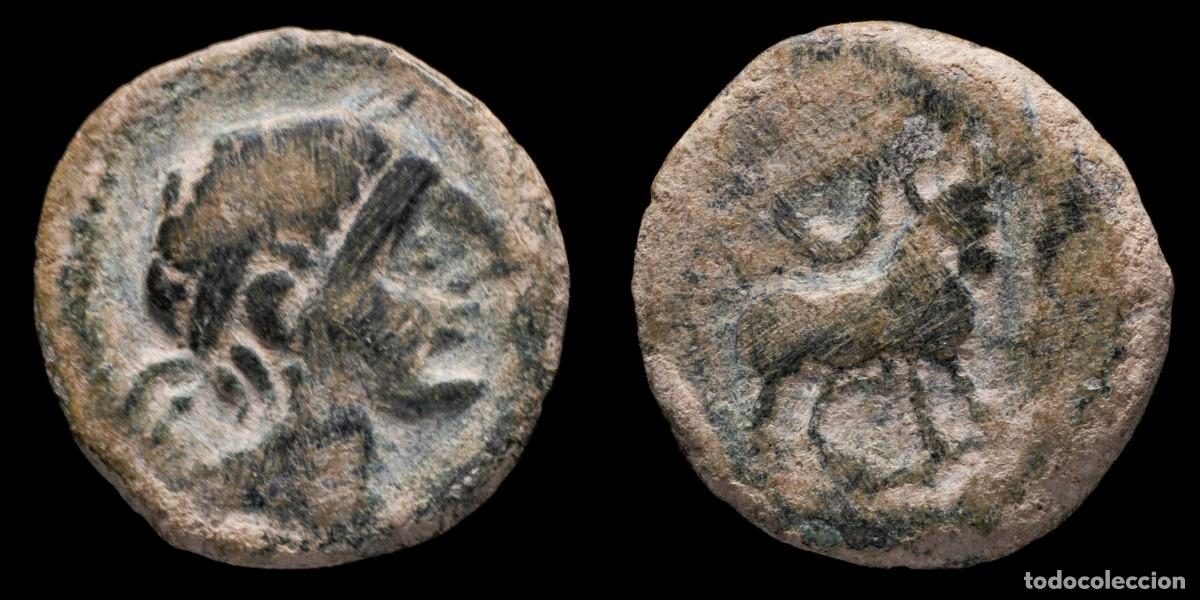Monedas ib&eacute;ricas: Ancient Hispania - Castulo, Cazlona (Ja&eacute;n) Ae Semis - 19 mm / 3,95 gr.