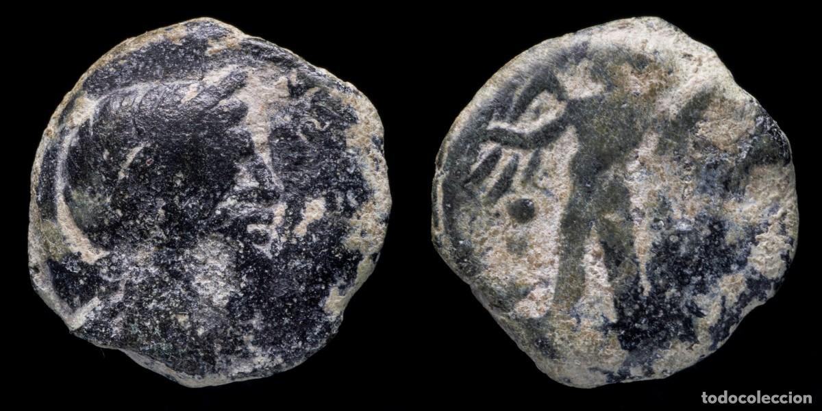 Monedas ib&eacute;ricas: Ancient - Cordvba (Cordoba) Ae Semis, Julius Caesar Times - 17 mm / 5,88 gr.