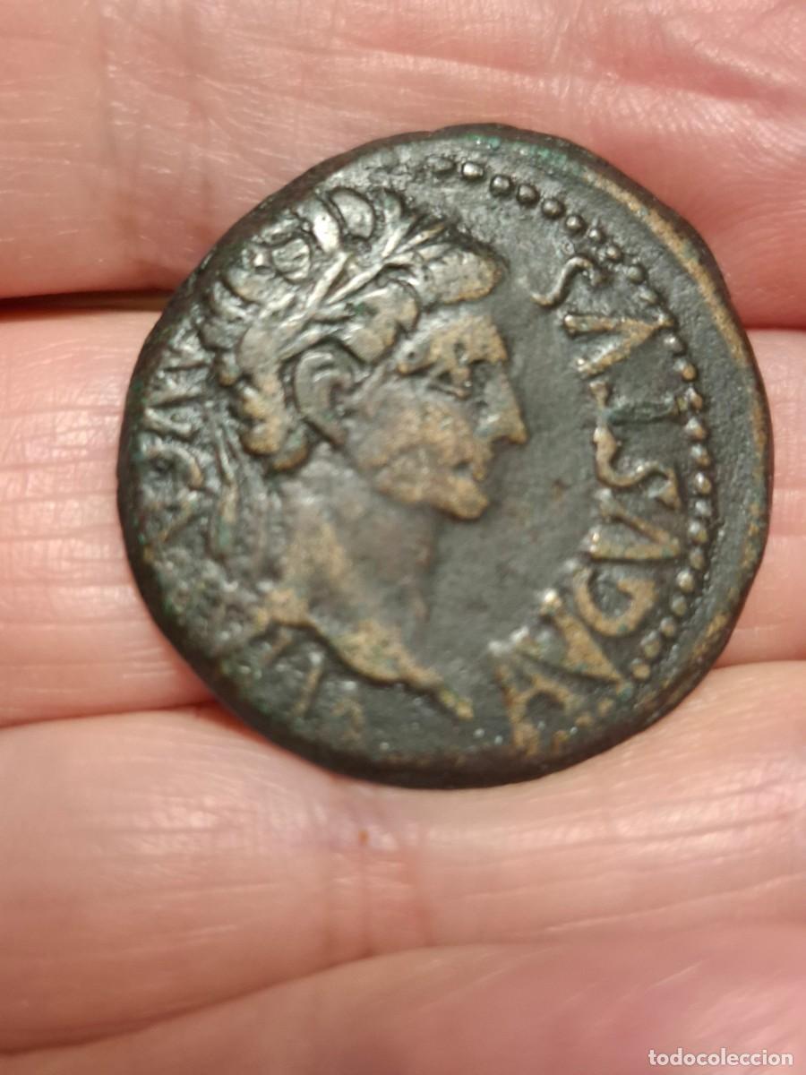 Moedas ib&eacute;ricas: MONEDA DE UN AS DE AUGUSTO DE CALAGURRIS (CALAHORA, LA RIOJA) ESPECTACULAR
