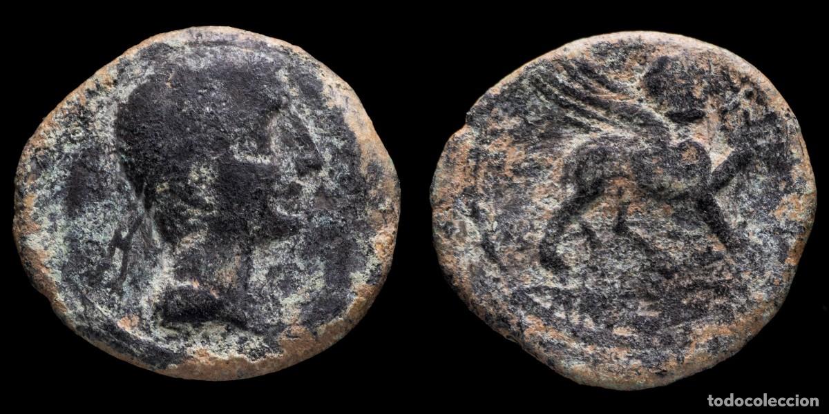 Monedas ib&eacute;ricas: Ancient Hispania - Castulo - (Ja&eacute;n) Ae As - 27 mm / 10,39 gr.