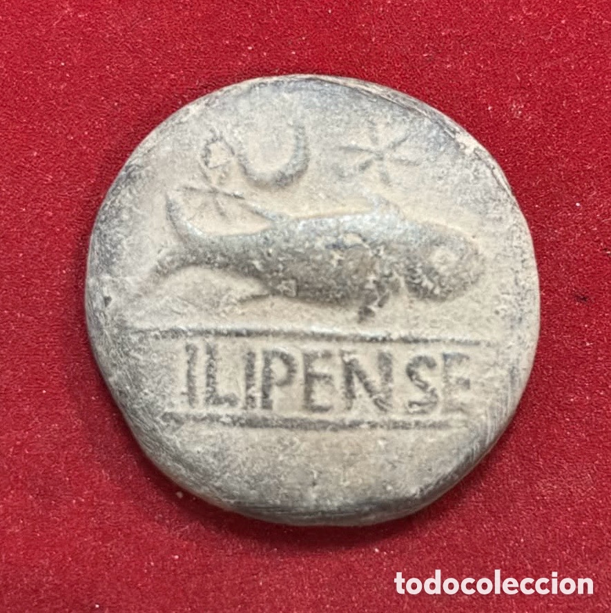Monedas ib&eacute;ricas: ILIPENSE. As. 120-20 a.C. Alcal&aacute; del R&iacute;o (Sevilla)