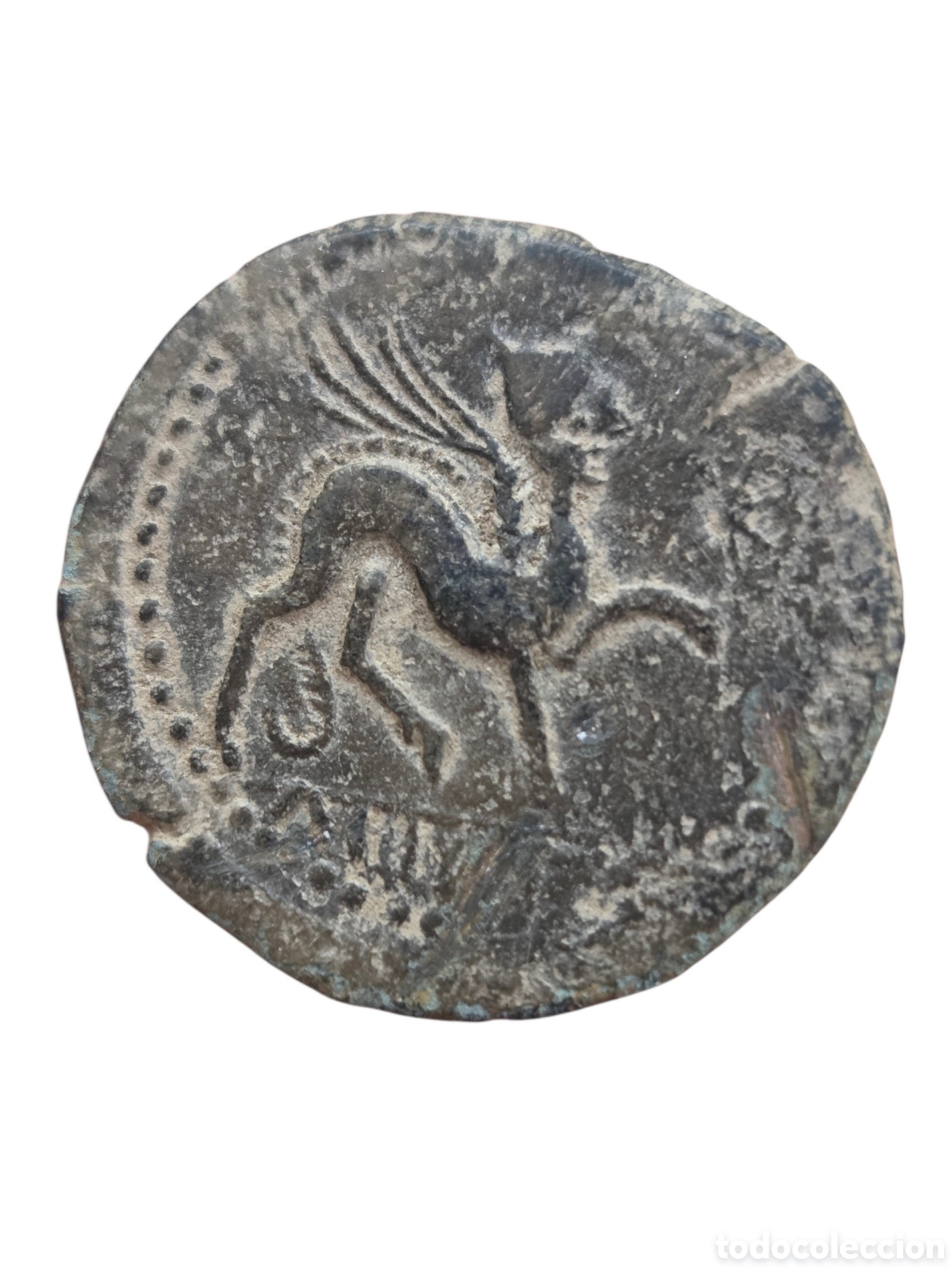Monedas ib&eacute;ricas: Bonito As de Castulo.