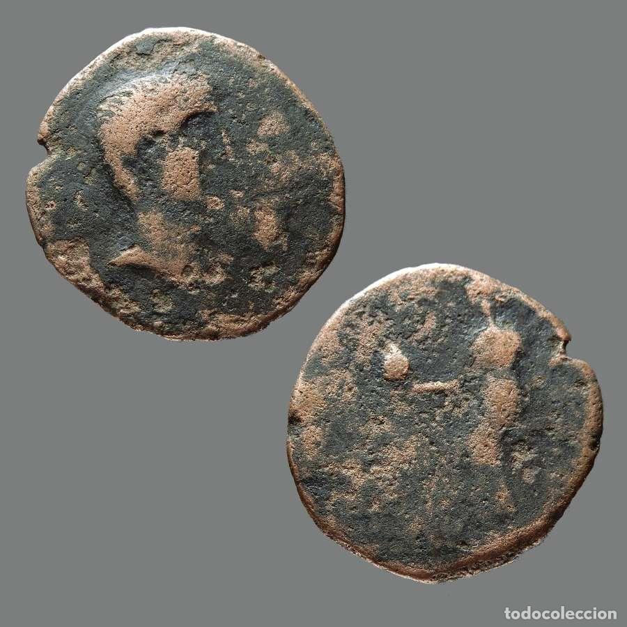 Monedas ib&eacute;ricas: Semis de Irippo, zona de Sevilla.