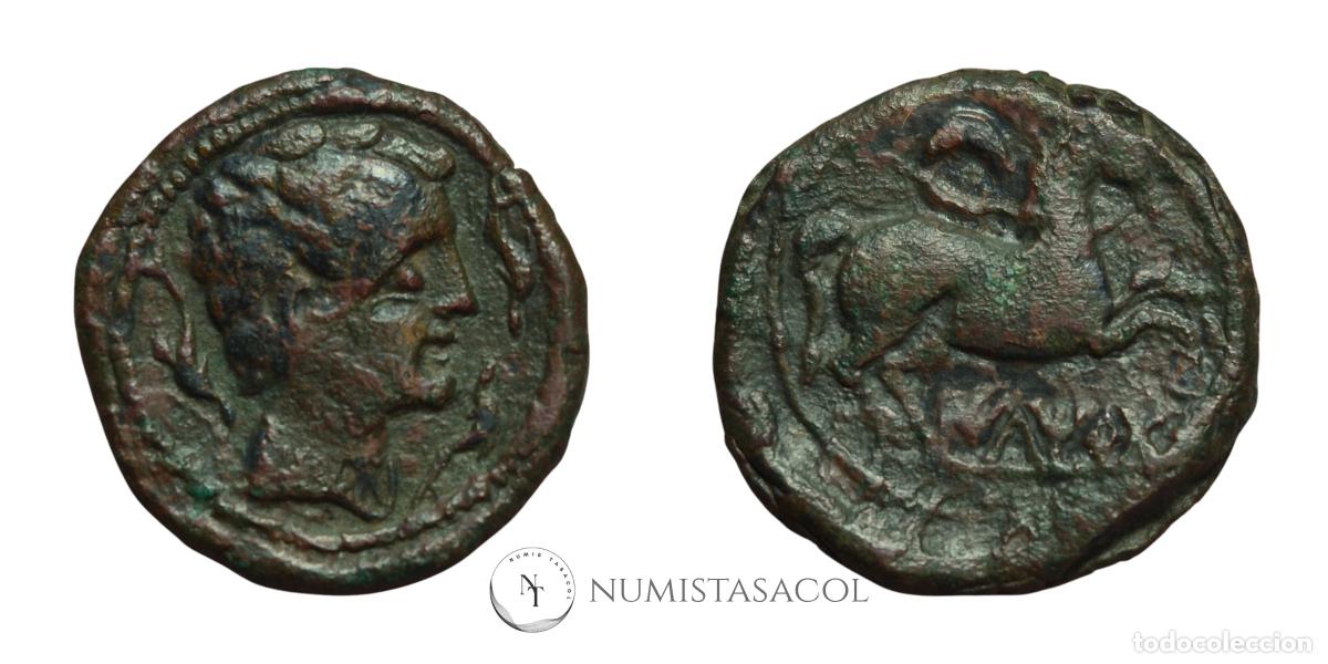 Monedas ib&eacute;ricas: NT/ SEMIS IBERICO ILTIRTA (A1698) - Foto 3