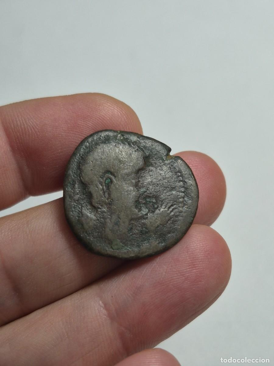 Monedas ib&eacute;ricas: NT/ AS IBERICO CASTULO 14,03 grs (A1725) - Foto 1