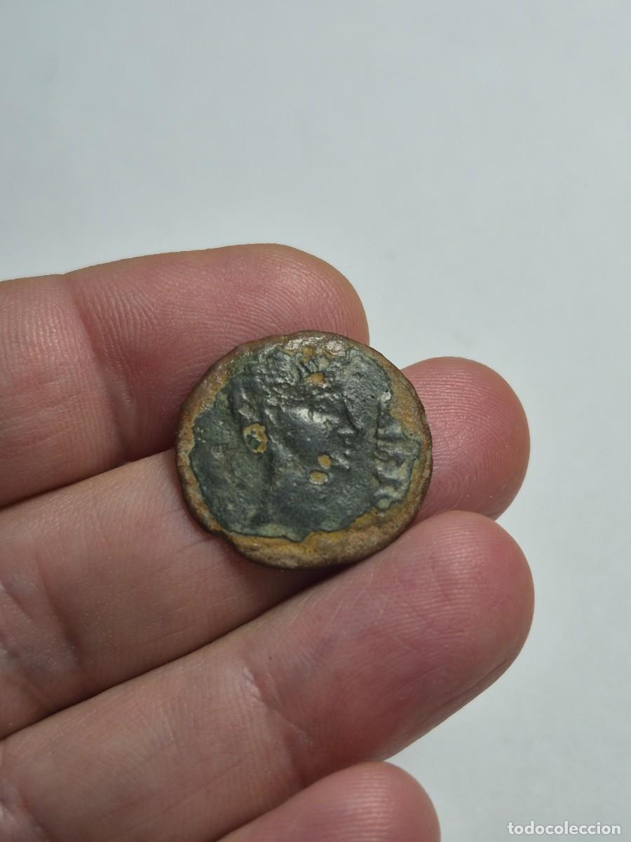 Monedas ib&eacute;ricas: NT/ AS IBERICO OSSET 4,41 grs (A1727)