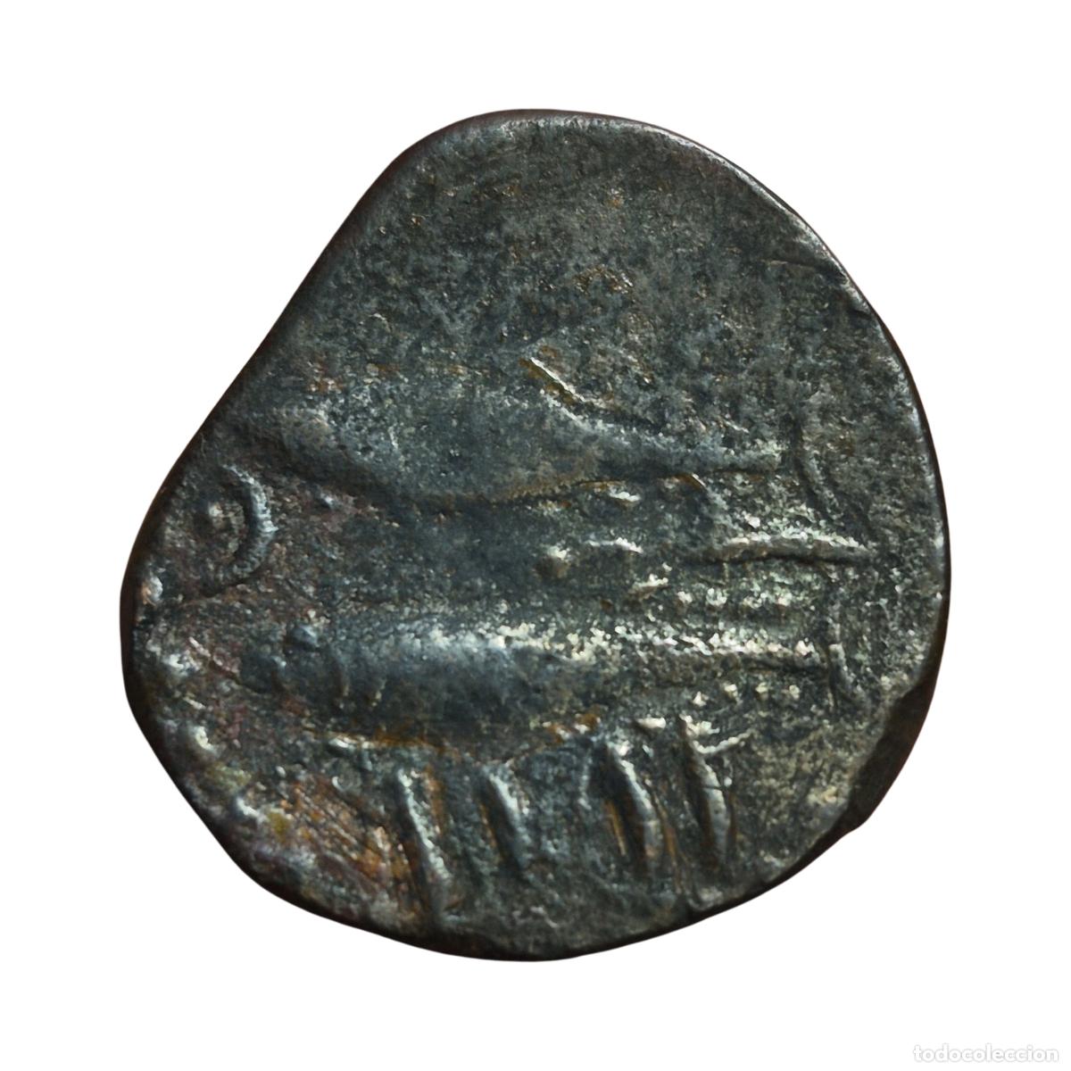 Monedas ib&eacute;ricas: NT/ AS PUNICO DE GADES (A1705) - Foto 2