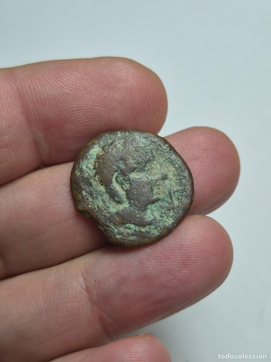 Monedas ib&eacute;ricas: NT/ SEMIS IBERICO CASTULO 7,00 grs (A1737)